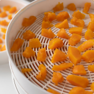 Dryers for vegetables and fruits